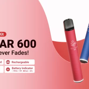 Elfbar600 prefilledpodkit